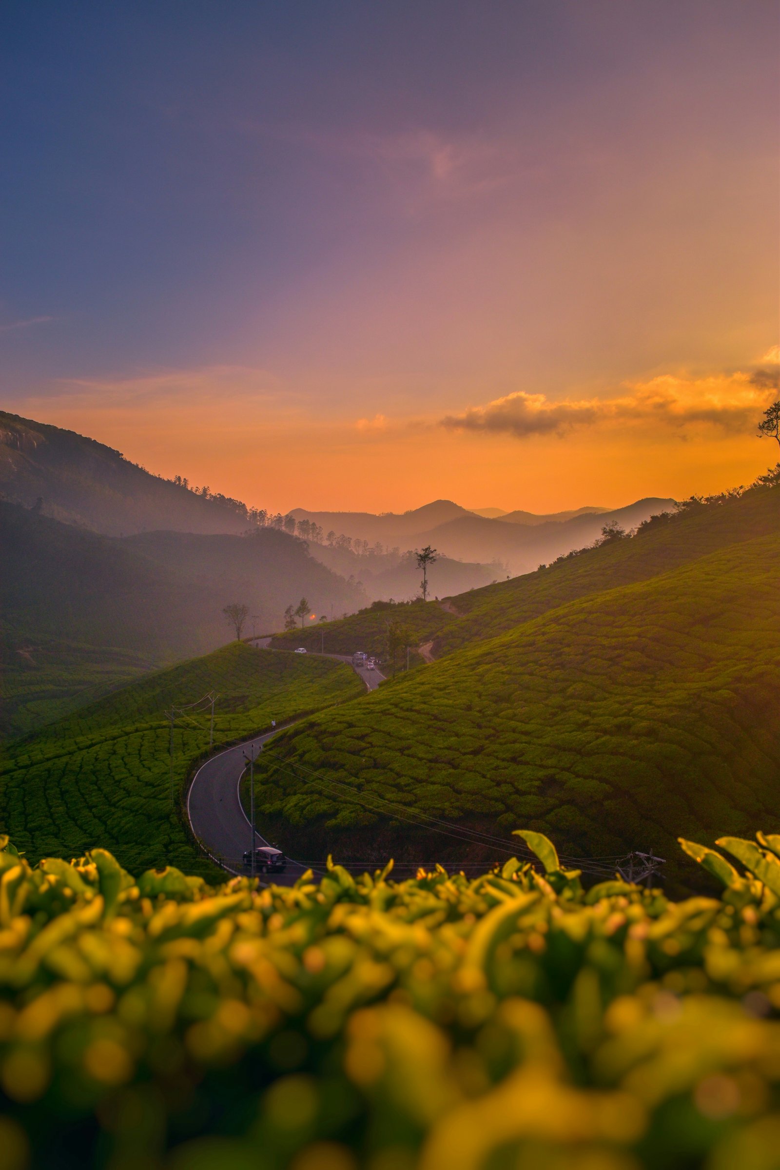 Kerala